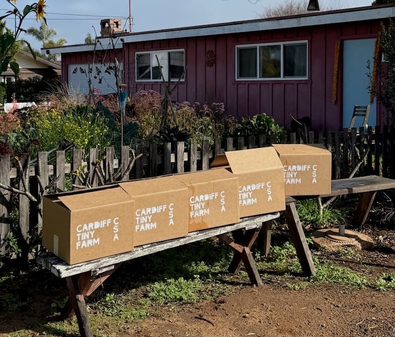 Cardiff Tiny Farm CSA boxes on the farm bench