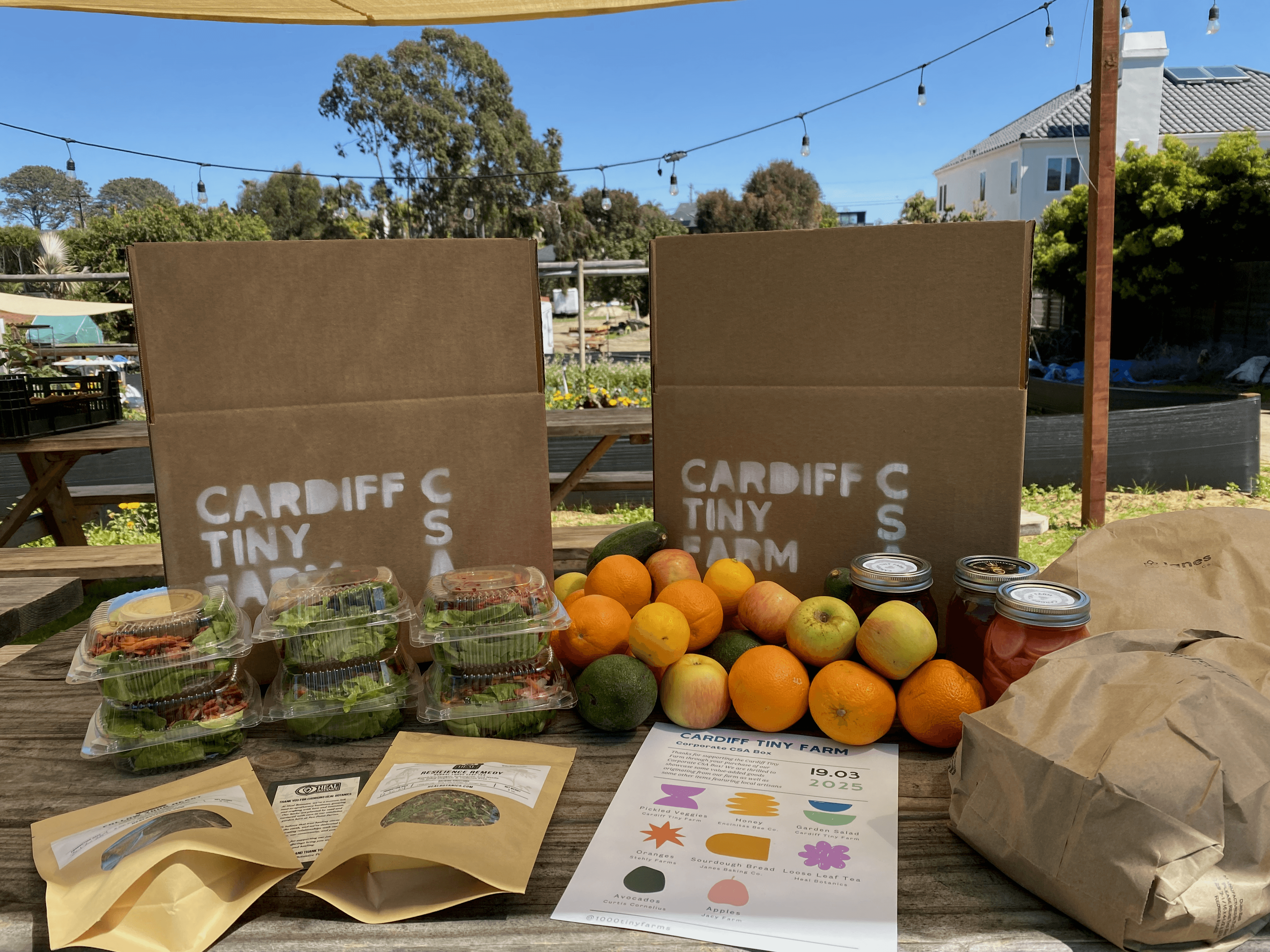 Office box with fresh produce
